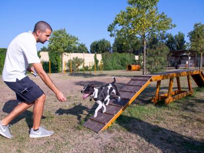 campingtahiti en offer-for-dog-sport-experience 031