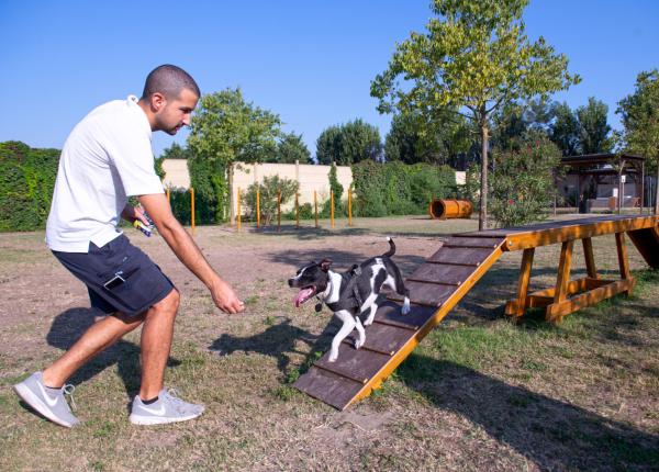 campingtahiti en offer-for-dog-sport-experience 026