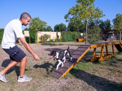 campingtahiti it offerta-vacanza-a-lido-delle-nazioni-in-camping-village-con-accesso-agli-amici-animali-cani 029
