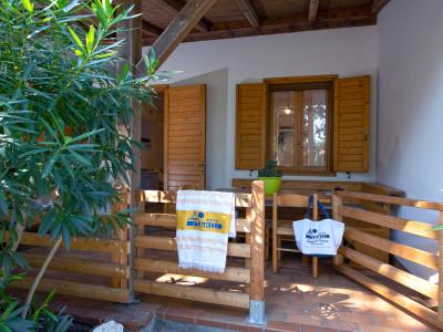 campingtahiti it offerta-dog-sport-experience 031