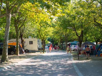 campingtahiti en special-black-friday-offer-for-camping-at-the-lidi-di-comacchio 023