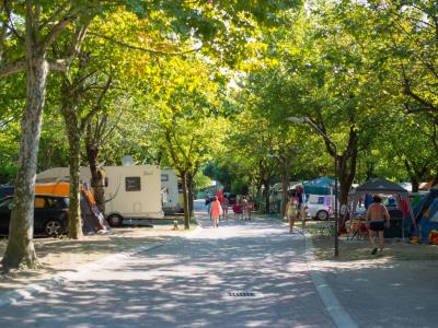 Camping d'été avec caravanes et tentes parmi les arbres.