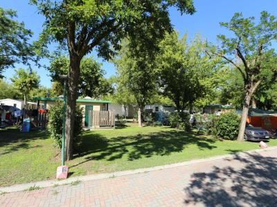 campingtahiti it offerte-in-camping-village-vicino-a-mirabilandia-con-biglietti-scontati-campeggio-sui-lidi-di-comacchio-vicino-a-ravenna 033