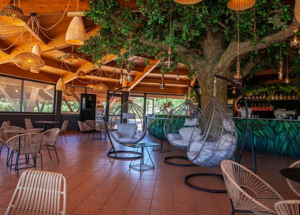 campingtahiti it vacanze-last-minute-ultimi-alloggi-disponibili-low-cost-in-camping-village-a-comacchio 029