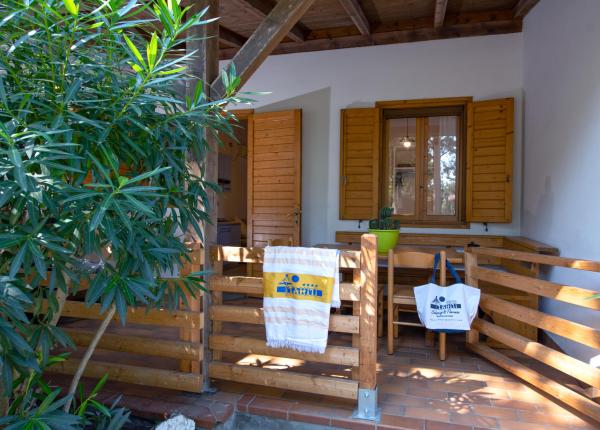 campingtahiti it offerta-dog-sport-experience 027