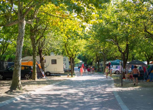 Camping d'été avec caravanes et tentes parmi les arbres.