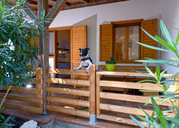 campingtahiti en holiday-offer-in-camping-village-in-lido-delle-nazioni-with-four-legged-friends-allowed 030