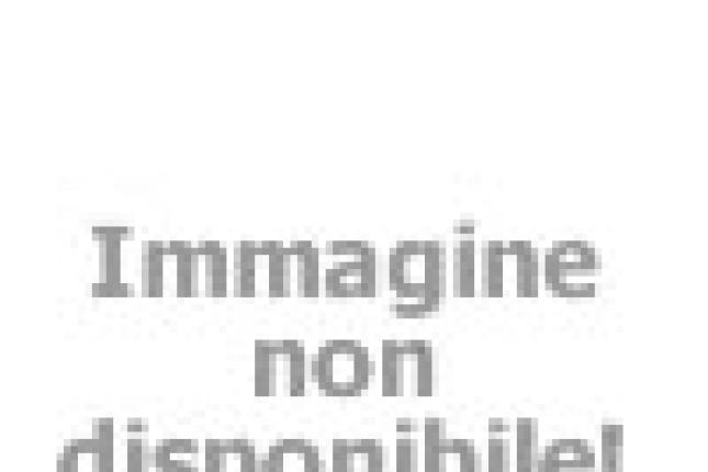 campingtahiti en pitches-type-b 016