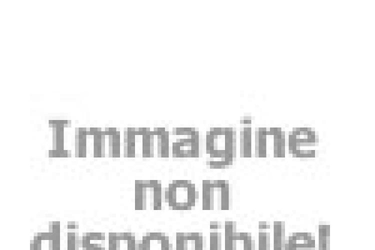 campingtahiti en pitches-type-b 014